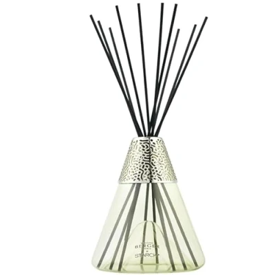 Image of Maison Berger Fragrance sticks Philippe Starck Peau D&#039;Ailleurs Green