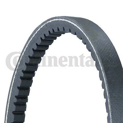 Image of 84AB6C301AA V Belt CONTITECH 11,9X806Ld 806mm FORD: ESCORT 3, 4