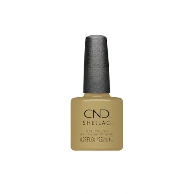 Image of Shellac Gilded Sage