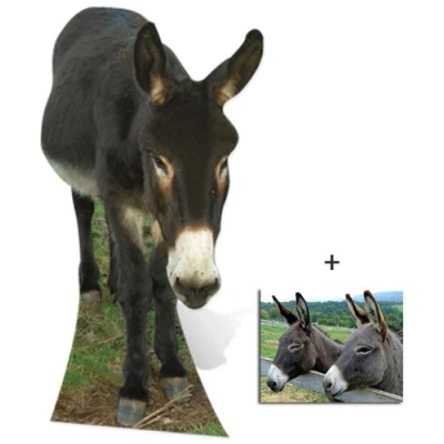 Image of BundleZ 4 FanZ Fan Packs Donkey Wildlife/Animal Lifesize Cardboard Cutout/Standee/Standup Includes 8x10 (20x25cm) Star Photo