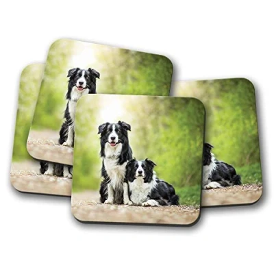 Image of 4 Set Border Collie Pair Coaster Dog Sheep Farmer Cute Puppy Fun #8626