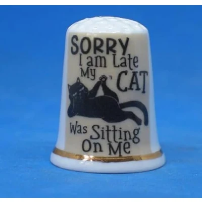 Image of Birchcroft Porcelain China Collectible Thimble Cat Sitting with Display Box