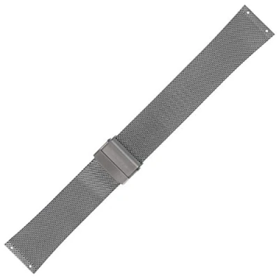 Image of Skagen SKW6108 Watch Strap 22 mm Metal Titanium