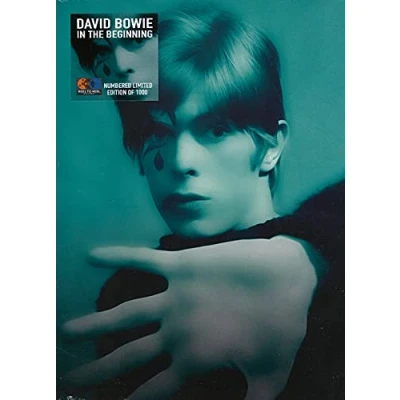Image of DAVID BOWIE / In The Beginning