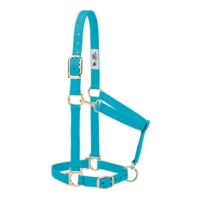 Image of Weaver Leather Basic Adjustable Nylon Halter, Turquoise, 1&quot; Large Horse