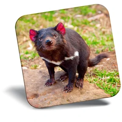 Image of Destination Vinyl ltd Fridge Magnet Cute Tasmanian Devil Animal 2201
