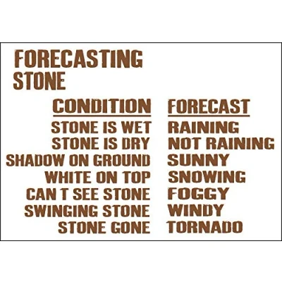 Image of DOGT Metal tin Sign 12x16 inches Weather Forecasting Stone