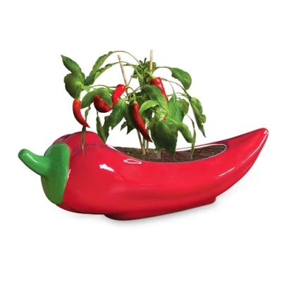Image of Red Hot Chilli Planter