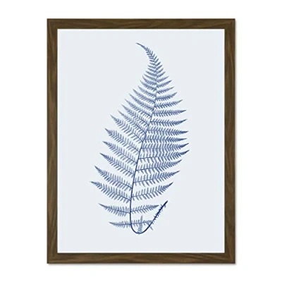 Image of Wee Blue Coo Botanics Cobalt Fern Alpestre Large Brown Framed Art Print Wall Poster 18x24 inch
