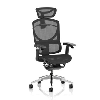Image of Ergo Click Plus Black Mesh with Headrest