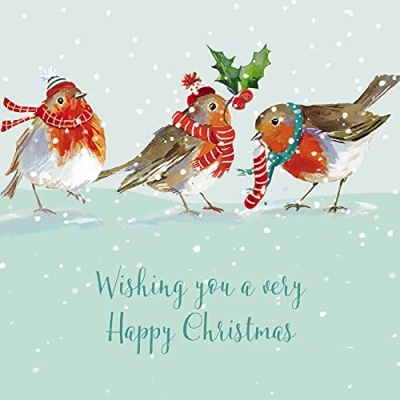 Image of Ling Design Pack of 6 Charity Christmas Cards &#039;Christmas Robins&#039; Lovely with Robins in the Snow 1 Design, Multi, 146 x 14mm