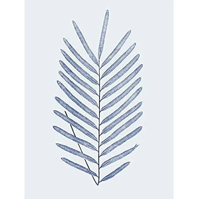 Image of Wee Blue Coo Botanics Cobalt Fern Diversifolium Unframed Art Print Poster Wall Decor 12x16 inch