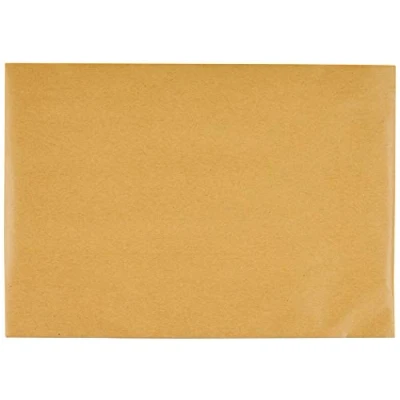 Image of Blake Vita B5 Eco Cushion Recycled Kraft Padded Plastic Free Paper Mailer (REPDB5) Pack of 100, 250 x 176 mm