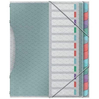 Image of Esselte File Divider Book With 12 Tabs, A4, Acid Free Paper/Document Organiser, Clear Plastic Pockets, Home/Office, Embossed Pattern, Colour&#039;Breeze Range, Multi Colour,626256