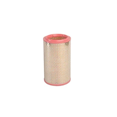 Image of 60603982, 71754086 Air Filter PURFLUX A1962 256mm 156mm Insert FIAT: Barchetta
