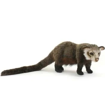 Image of Asian Palm Civet Plush Soft Toy by Hansa 5581