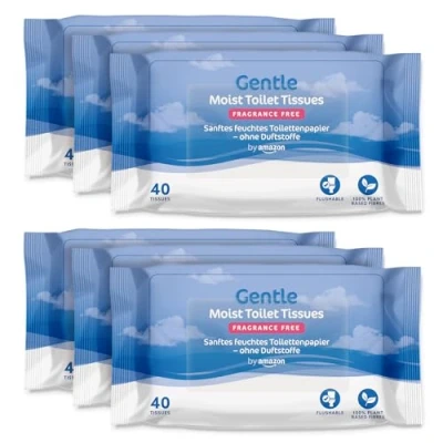 Image of by Amazon Gentle Moist Toilet Tissues, Unscented, Fine to Flush, 240 Count (6 Packs of 40) (Previously Presto!)