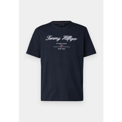 Image of Tommy Hilfiger Script LOGO TEE Print Tshirt, Men&#039;s, Size: Small, Desert sky