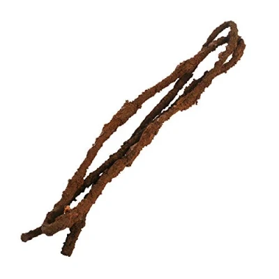 Image of Komodo Tropical Vine, Medium, 1.8 m x 10 mm
