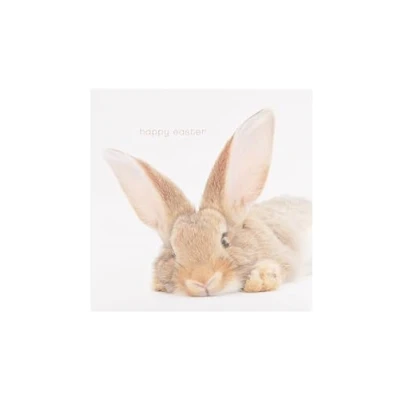 Image of UK Greetings Easter Card for Him/Her/Friend Cute Rabbit Design