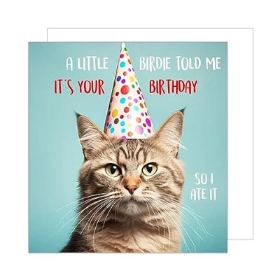 Image of Edition Seidel Premium Square Birthday Card with Envelope Greeting Happy For Him or Her Friend Sister Brother Teens Colleague Cool Cat (GQ121)
