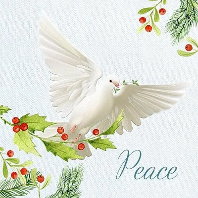 Image of Paper Themes 10 pack of Luxury Christmas Cards with Envelopes (Bringing Peace)
