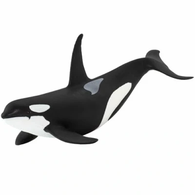 Image of Safari Orca Animals Animals, Multicolor (S100232)