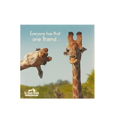 Image of UK Greetings Funny Birthday Card for Him Her Humerous The Comedy Wildlife Giraffe Friend Blank Inside