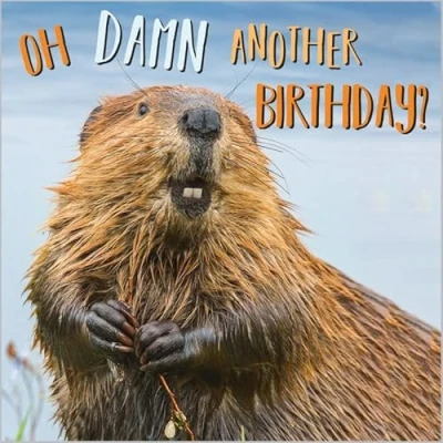 Image of Abacus Cards Male/Female Funny Open &#039;Happy Birthday&#039; Greeting Card From The Rapture Range &#039;Oh Damn&#039; Beaver Suitable For Him/Her