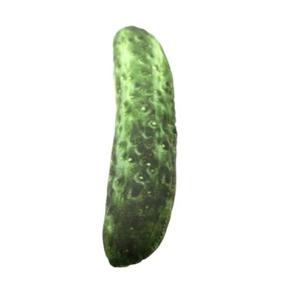 Image of ausuky Pet Cat Kicker Simulation Food Shrimp Dog Toys Anti Bite Chew Doll (Cucumber)