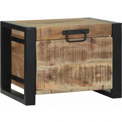 Image of vidaXL Storage Chests 40x30x30cm Solid Mango Wood and Metal
