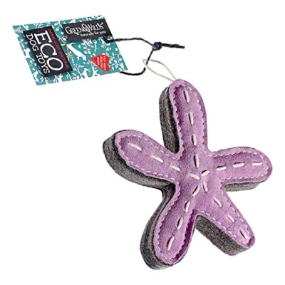 Image of Eco Dog Toy Green &amp; Wilds Stanley the Starfish
