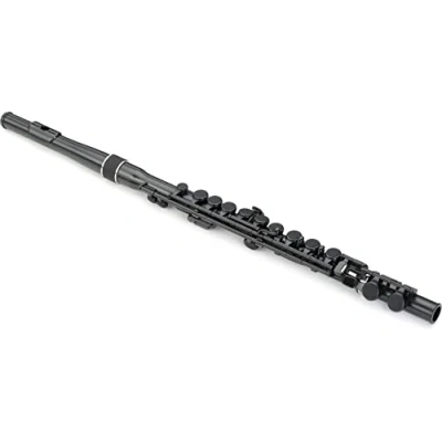 Image of Nuvo N230SFBK student flute 2.0 in black