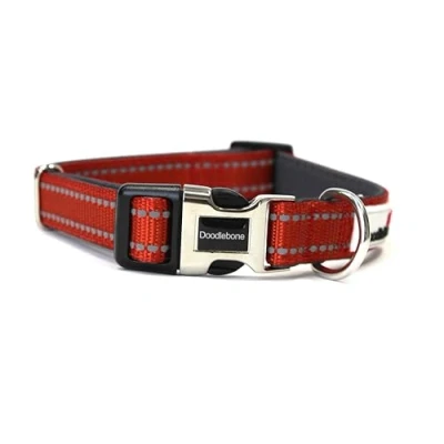Image of Doodlebone Padded Collar, Pumpkin, 1 2