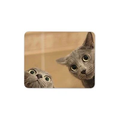 Image of Destination Vinyl Ltd Funny Cat Mouse Mat Pad Cats Kittens Cute Mum Auntie Gift Computer #12186