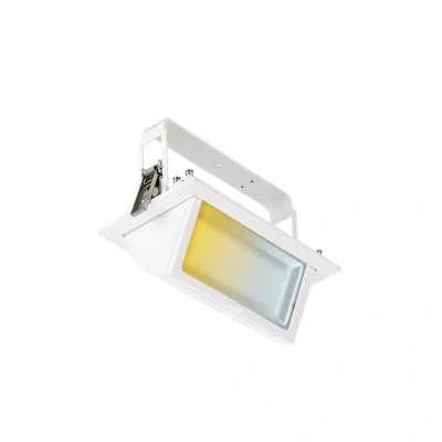 Image of Prysim 45W IP65 Adjustable Rectangular CCT LED Wallwasher Aurora