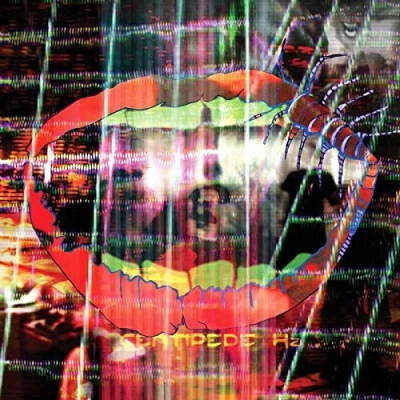 Image of Animal Collective Centipede Hz 180gram vinyl + DVD 2012 UK 2 LP set WIGLP274X