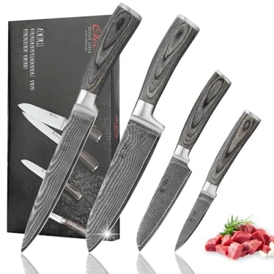Image of Wakoli EDIS 4 Piece Professional Damascus Kitchen Knife Set Made from 67 Layers of Genuine Steel with VG 10 Core Ergonomic Pakkawood Handles
