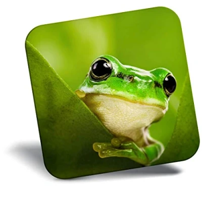 Image of Destination Vinyl ltd Fridge Magnet Green Tree Frog Jungle Tropical 8229