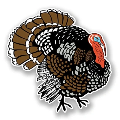 Image of 2 x 10cm Turkey Vinyl Sticker Laptop Helmet Bike Car Farm Farmer Bird Fun #5881 (10cm 10cm)
