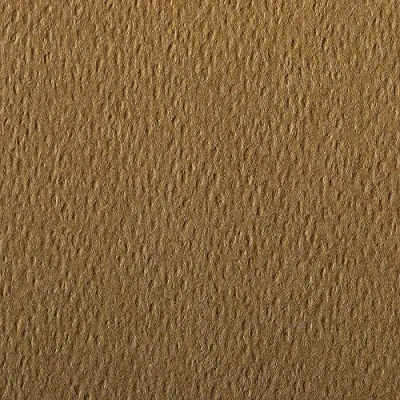 Image of Clairefontaine Ref 93777C Etival Coloured Grained Drawing Paper (24 Sheets of Paper) 50 x 65cm 160gsm Cellulose Art Tobacco Acid Free, pH Neutral