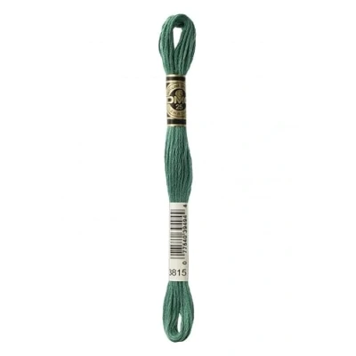 Image of DMC Stranded Cotton Embroidery Thread 3815 per Skein