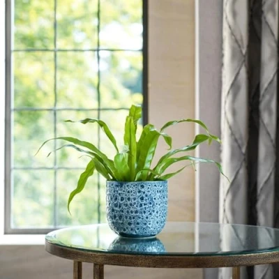 Image of Ivyline Planter, Ceramic, Sapphire, L