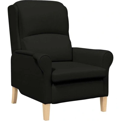 Image of vidaXL Modern Armchair Black Polyester Fabric, Wood Standard Size