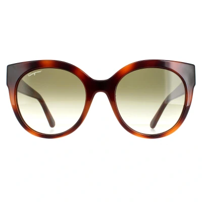 Image of Salvatore Ferragamo Cat Eye Womens Tortoise Green SF1031S Brown One Size