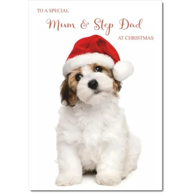 Image of doodlecards Mum and Stepdad Christmas Card Dog Santa Hat Medium Size for &amp; with Plain Envelope