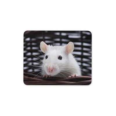 Image of Destination Vinyl ltd Adorable White Rat Mouse Mat Pad Pet Cute Animal Rats Fun Gift Computer #8683