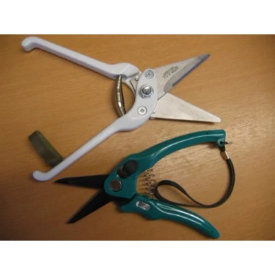 Image of Footrot Shears With Plain Blades &amp; Supersharp Lamb By Burgon Ball