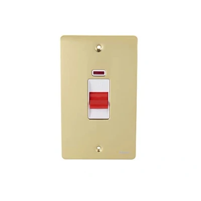 Image of Schneider Electric Ultimate Flat Plate Double Control Switch with Neon Indicator, Pole, 50AX, GU4221WPB, Polished Brass White Insert