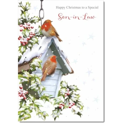 Image of doodlecards Son in Law Christmas Card Two Robins Snow Medium Size for with Plain Envelope